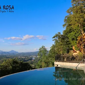 Rosa Sri Lanka